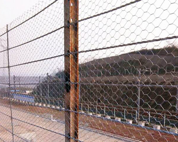 ߅�·��o�������g