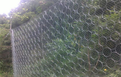 �����ܺܺõą^(q��)��߅�·��o(h��)�W(w��ng)Ʒ�|(zh��)������?